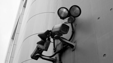 automated stability detection system