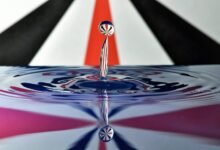 impact nexus for ids