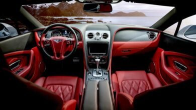 performance and opportunity analysis