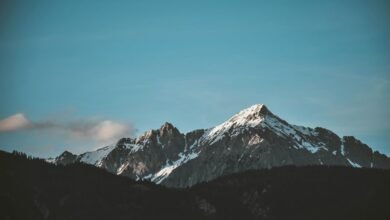 secure it management services